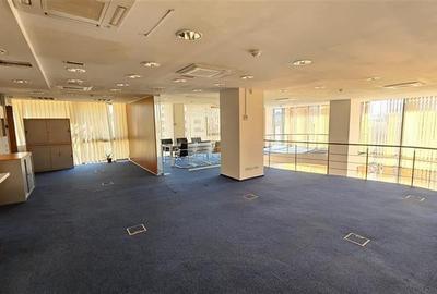 Luxoffice Center - duplex birouri 290 mp - 9