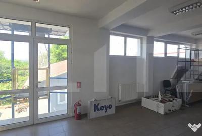 Spațiu comercial, de 750 mp, în Calea Severinului - 1
