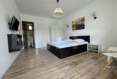 Casă individuală cu 11 camere cu Teren 600 Mp în Dubova - 2