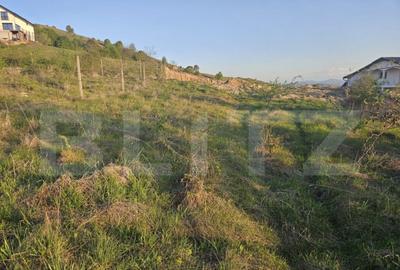 Teren 1150 mp, cu certificat de constructie, Salicea, centra - 8