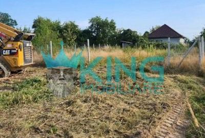 Ariesu de Padure | Teren | Intravilan | Extravilan | Zona linistita