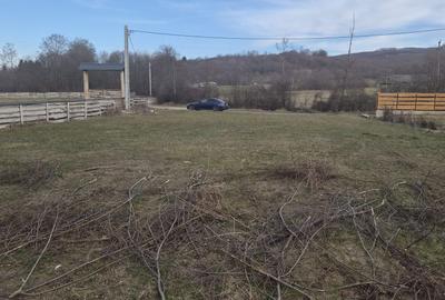 Spațiu comercial, în Săpânța - 7