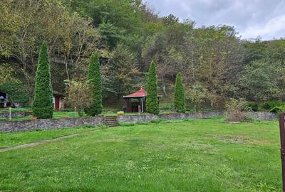 Vila Vetel zona Valea Caoi-OFERTA SPECIALA DE SARBATORI - 16