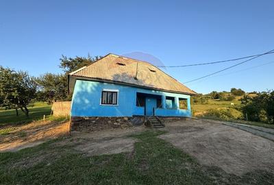 Preluca Noua jud. MARAMURES TEREN DEOSEBIT DE VANZARE - 3