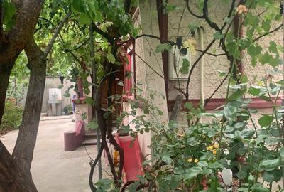 Casa  2 camere Voluntari - 9