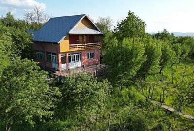 Casă individuală cu 3 camere cu Canalizare în Bucium - 1