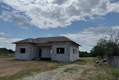 Casă cu 4 camere cu Teren 4174 Mp în Slătioarele - 3