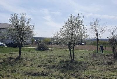 Teren de 500 mp, în Mărăcineni - 3