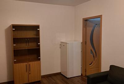 Inchiriere Apartament 2 Camere Renovat Petfriendly Piata Progresul - 4