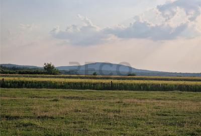 Teren de 500 mp, în Felcheriu - 9