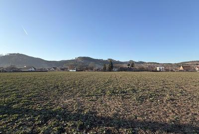 Spațiu comercial, în Central