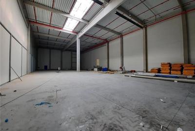 Spatiu Industrial - 7500 mp - Logistica - Productie - Depozitare - Distributie - 18