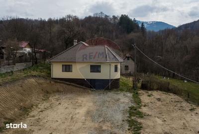 Casă cu 3 camere cu Teren 2497 Mp în Central - 4