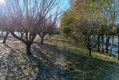 Teren de 4400 mp, în Ceacu - 2
