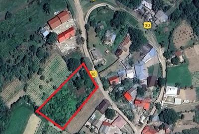 Teren Construcții intravilan de 1944 mp, în Copăcești - 1