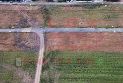 Teren de 481 mp, în Mineri - 3