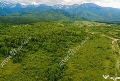 Teren în Porumbacu de Sus - 1
