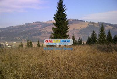 Teren pentru Complex Turistic - 12 730 mp - Vatra Dornei - 5