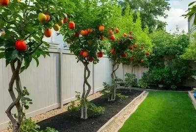 Apartament cu 3 camere decomandat în Theodor Pallady - 1