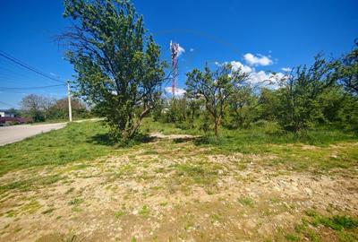 Teren Construcții intravilan de 2000 mp, în Mioveni - 3