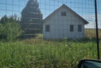 Casă cu 4 camere în Ciritei - 8