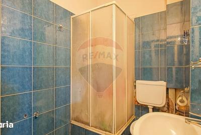 Apartament cu 4 camere decomandat în Centrul Istoric - 13