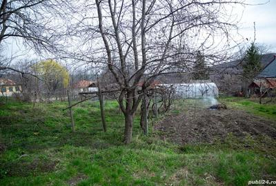 Casă cu 2 camere în Bohotin - 5