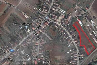 De vanzare, teren intravilan 11200 mp Nazna , Mures - 5