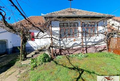 Casa de vanzare in com. Micasasa jud. Sibiu - 2