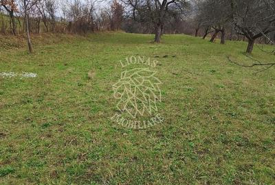 Teren agricol extravilan de 3966 mp, în Budacu de Sus - 5