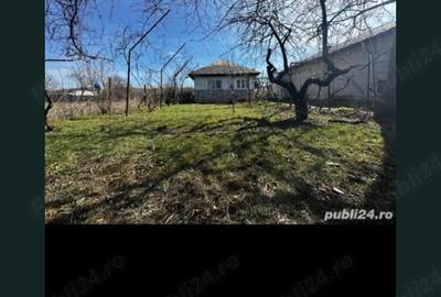 Casă cu Teren 2650 Mp în Boldești - 4