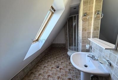 Vilă individuală cu piscină, Iancu Nicolae - 21