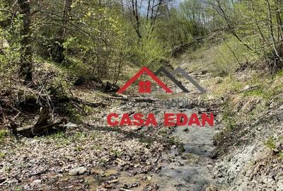 Teren de 9104 mp, în Brebu - 19