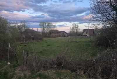 Spațiu comercial, în Central - 2