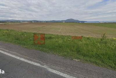 Teren de 1500 mp, în Bartolomeu - 4