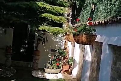 Vanzare casa renovata 2 camere curte proprie foisor Cotroceni - 4