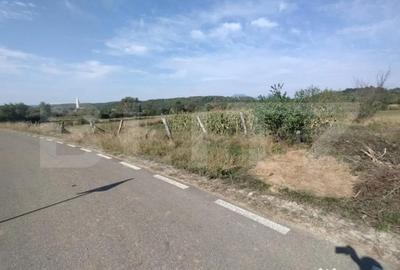 Casă cu 4 camere cu Teren 6700 Mp în Dorolea - 6