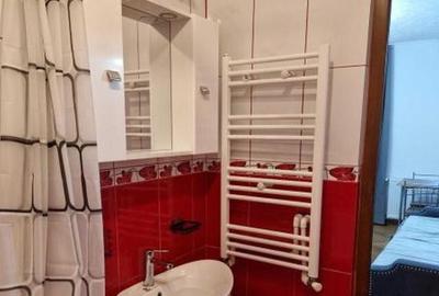 Campia libertatii prima inchirere, totul nou, curte proprie. - 2