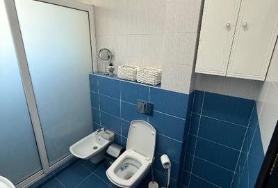 Apartament cu 2 camere, mobilat în Ciurea - 9