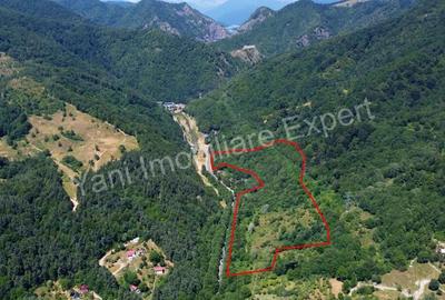 Teren de vanzare pe Transfagara?an. - 15