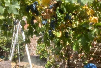 Vind casa formata din doua cladiri,in Prin?u Turcesc - 1