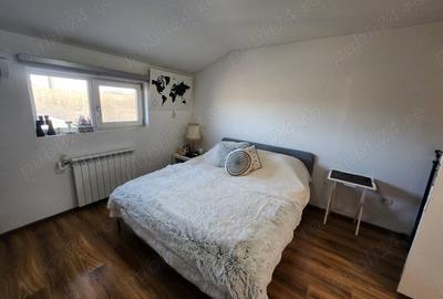 Casă cu 6 camere cu Teren 3000 Mp în Cataloi - 3