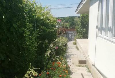 Casă cu 4 camere cu Teren 5000 Mp în Valea Mărului - 11