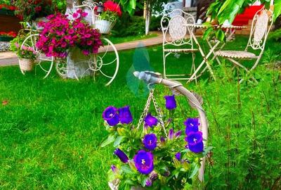 Casă cu 5 camere cu Canalizare în Bucium - 3