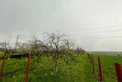 Teren în Central