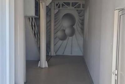 Hala multifunctionala de vanzare, Prejmer, Brasov - 6