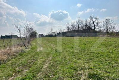 Teren de 900 mp, în Lucian Blaga