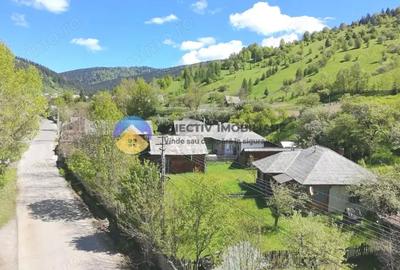 Casă cu 3 camere cu Teren 3302 Mp în Telec - 2