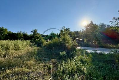 Teren 33290 mp, Lupsa de sus, Oportunitate de investitie - 5