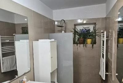 Apartament cu 4 camere semidecomandat, mobilat în Doamna Ghica - 7